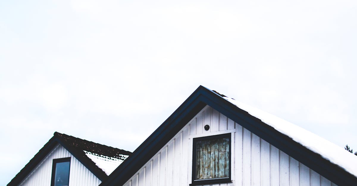 Hiring a Professional for Roof Leak Detection and Repairs