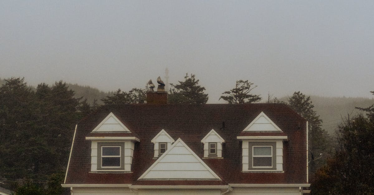 Longevity and Durability of Wood Shingle Roofs in the UK