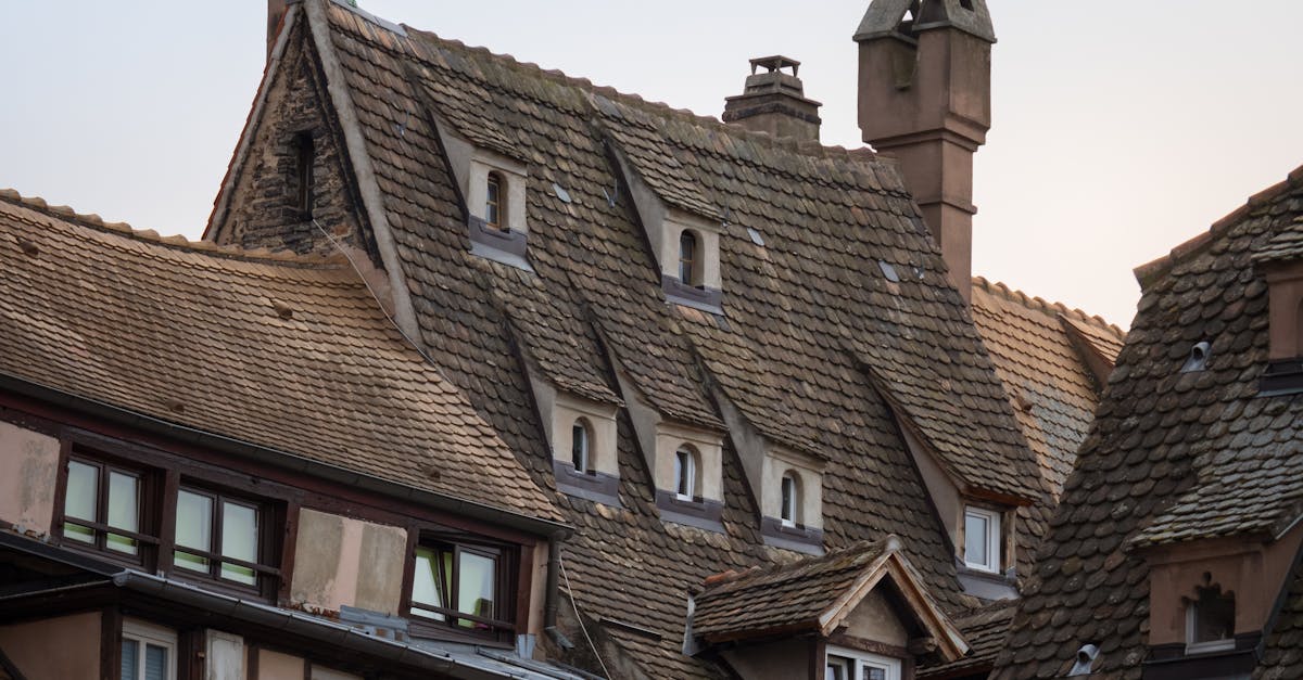 Tips for Extending the Lifespan of Tile and Slate Roofs